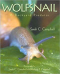 Book Cover Art